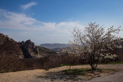 Прикрепленное изображение: IMG_7748.jpg